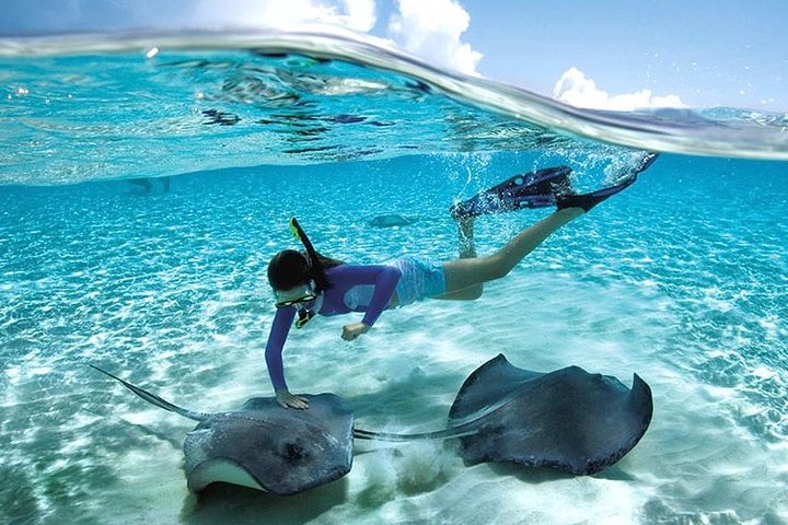 Actividad: Visita a la Isla Jhony Cay + Acuario